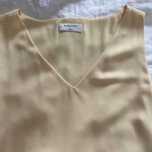 Aritzia top